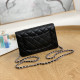 AP0250 Classic Classic Wallet On Chain (Authentic Quality)