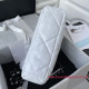 AS1161 Chanel 19 Large Handbag