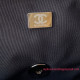 AS1161 Chanel 19 Large Handbag
